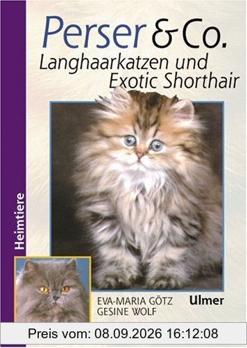 Perser und Co. Langhaarkatzen und Exotic Shorthair