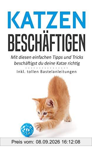 Katzen beschäftigen: Mit diesen einfachen Tipps und Tricks beschäftigst du deine Katze richtig - Inkl. tollen Bastelanleitungen (Katzen trainieren, Band 4)