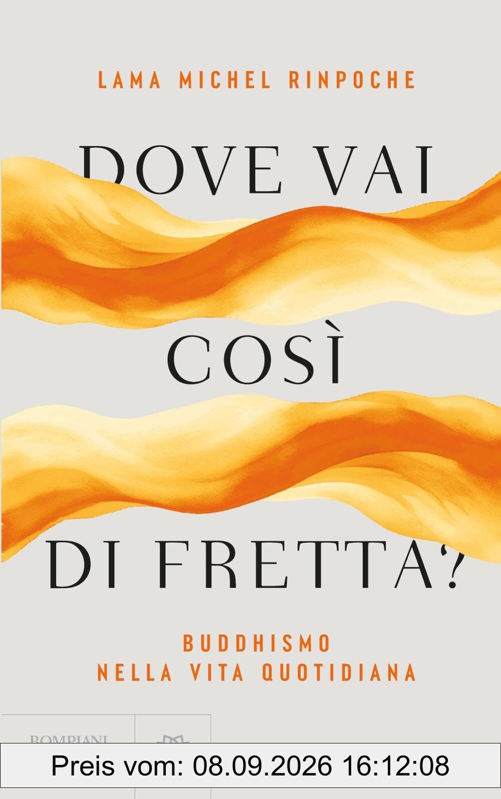 Dove vai così di fretta? Buddhismo nella vita quotidiana (Overlook)