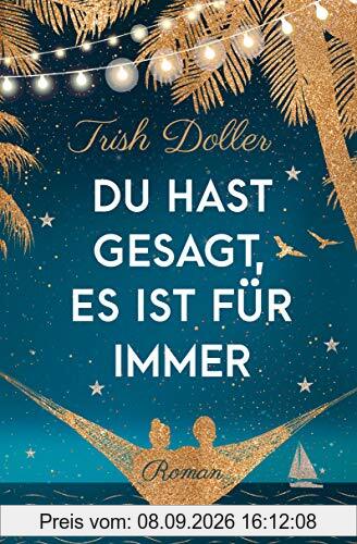 Du hast gesagt, es ist für immer: Roman