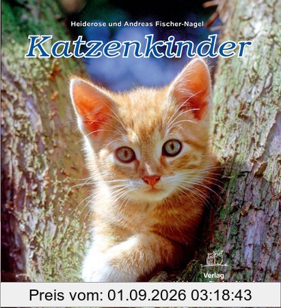 Katzenkinder