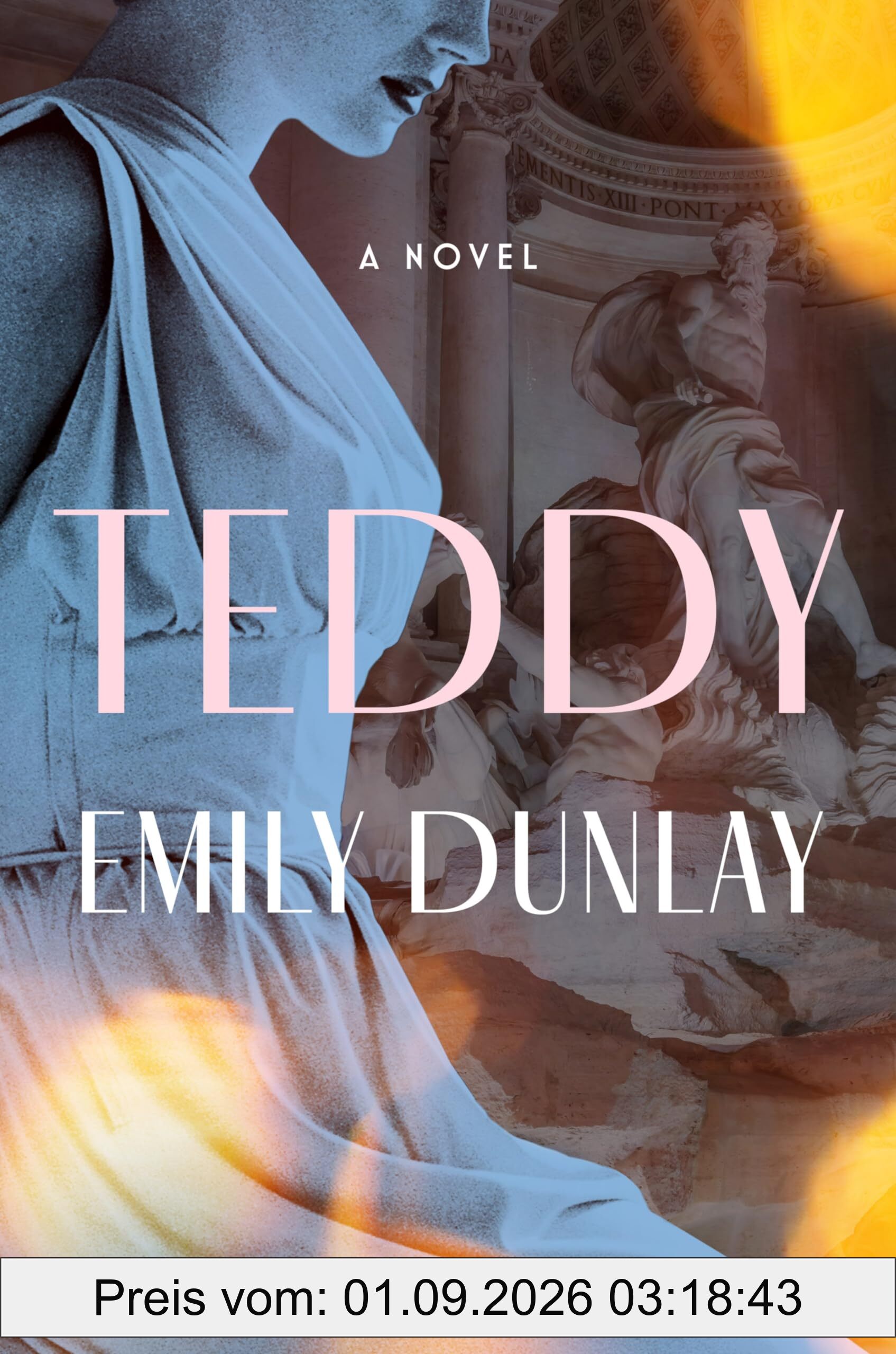 Teddy: A Novel