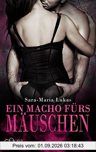 Hard & Heart 4: Ein Macho fürs Mäuschen