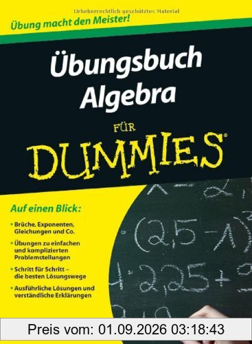 Übungsbuch Algebra für Dummies (Fur Dummies)