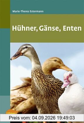 Hühner, Gänse, Enten
