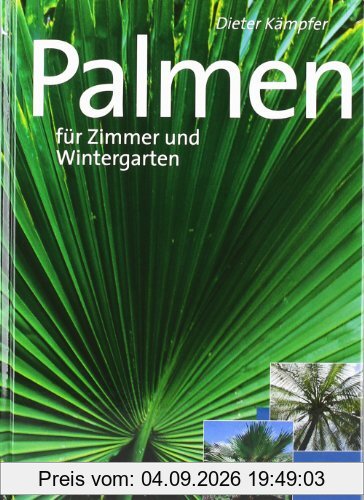 Schöne Palmen für Zimmer und Wintergarten