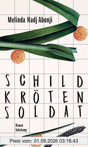 Schildkrötensoldat: Roman (suhrkamp taschenbuch)