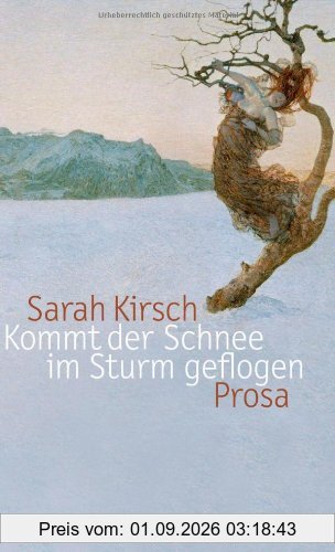 Kommt der Schnee im Sturm geflogen: Prosa