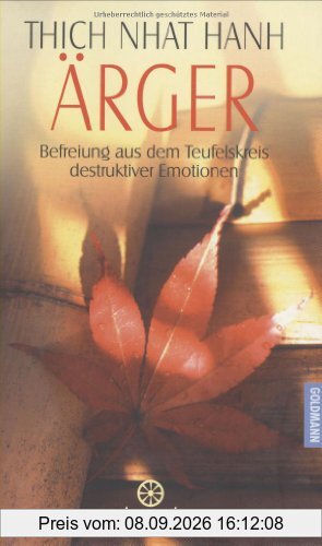 Ärger. Befreiung aus dem Teufelskreis destruktiver Emotion
