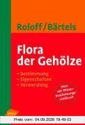 Flora der Gehölze. Bestimmung - Eigenschaften - Verwendung