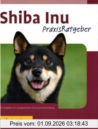 Shiba Inu