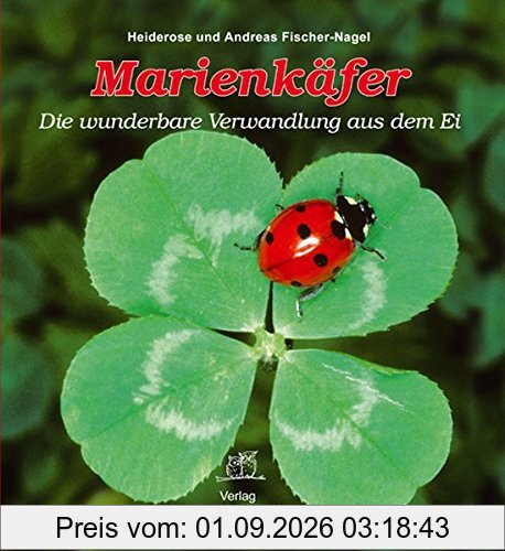 Marienkäfer: Die wunderbare Verwandlung aus dem Ei