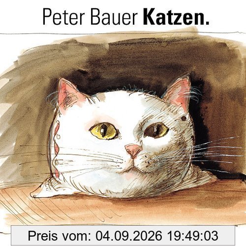 Katzen. Zeichnungen