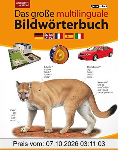 JOURIST Das große multilinguale Bildwörterbuch Deutsch-Englisch-Französisch-Spanisch-Italienisch: 120.000 Wörter und Wendungen