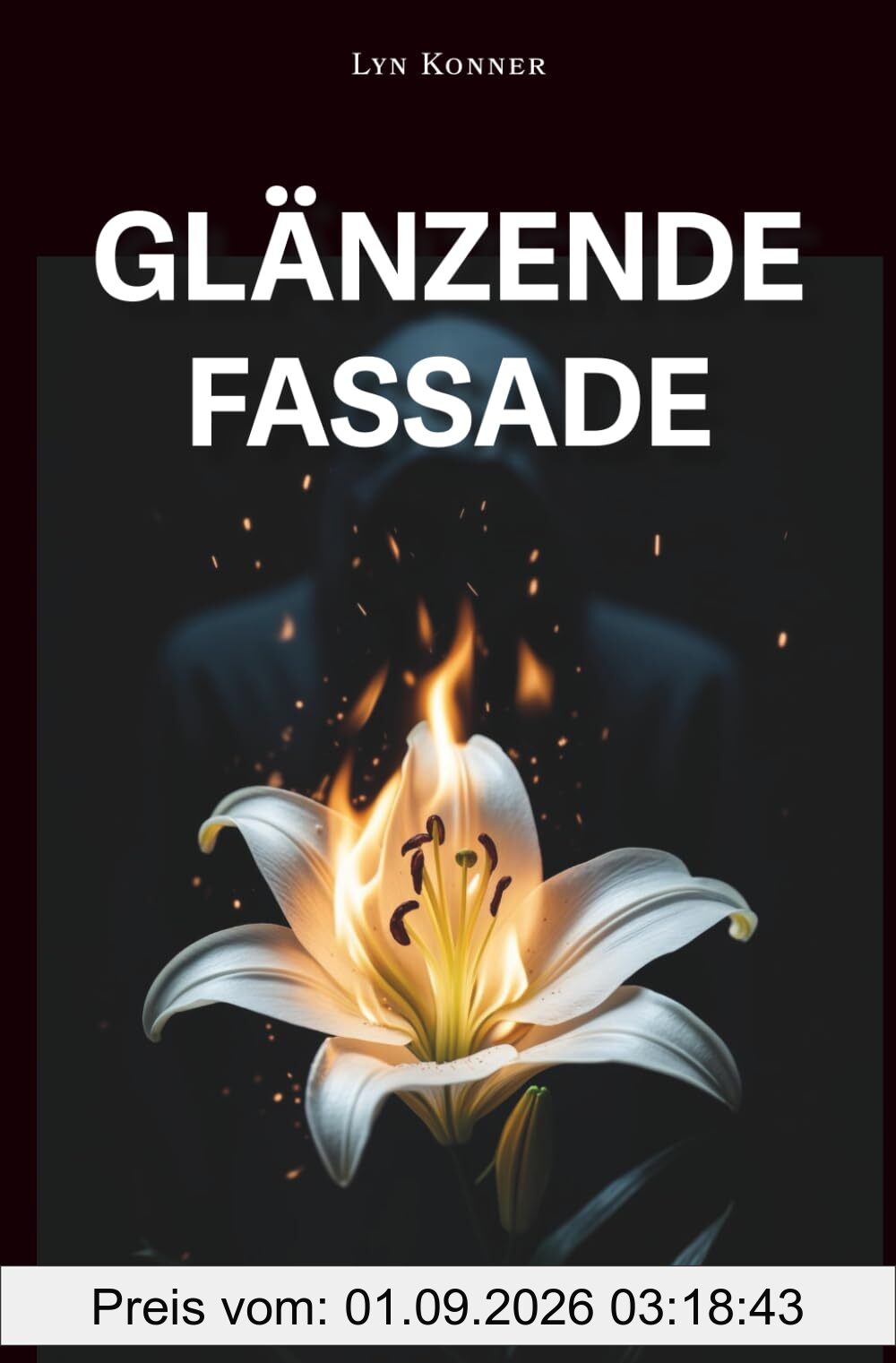 Glänzende Fassade
