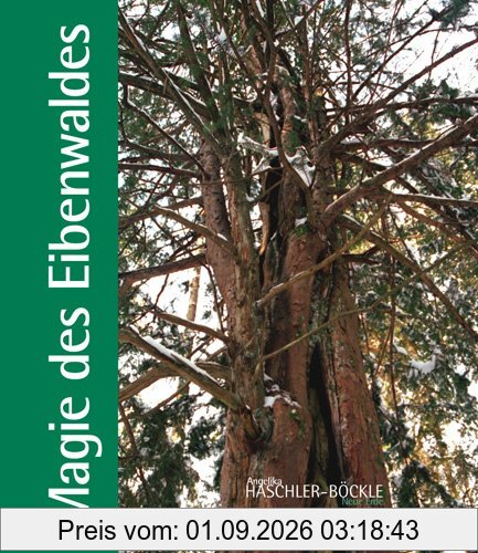 Magie des Eibenwaldes