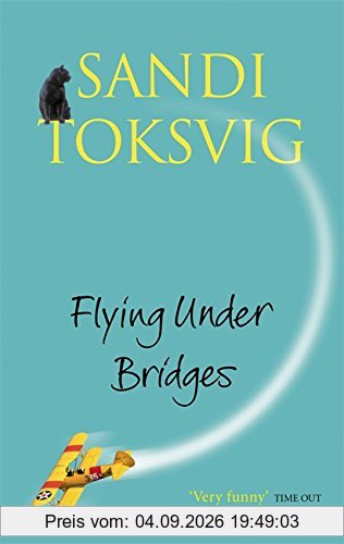Flying Under Bridges