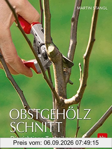 Obstgehölzschnitt: Die richtigen Techniken