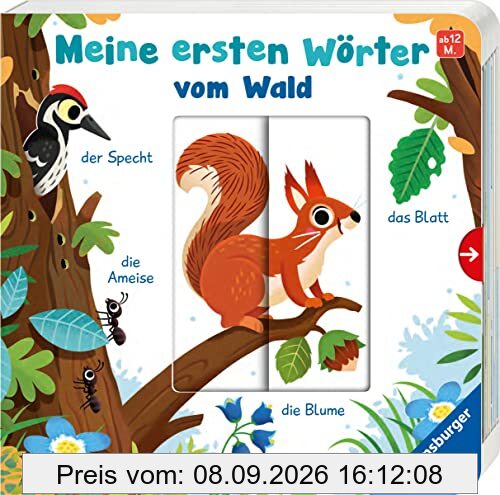 Meine ersten Wörter vom Wald - Sprechen lernen mit großen Schiebern und Sachwissen für Kinder ab 12 Monaten