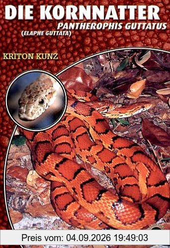 Die Kornnatter: Pantherophis guttatus