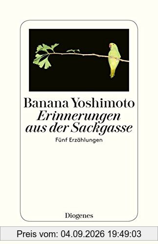 Erinnerungen aus der Sackgasse: Fünf Erzählungen