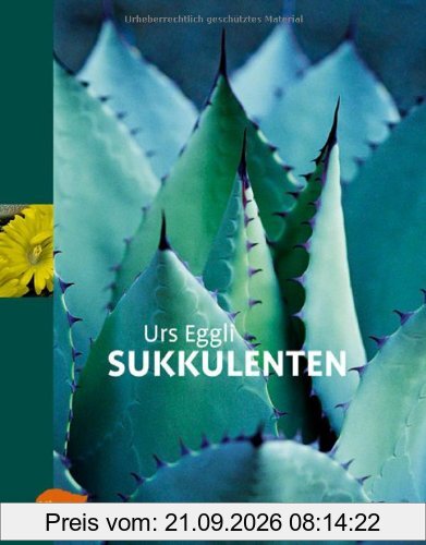 Sukkulenten -