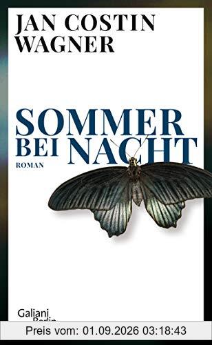Sommer bei Nacht: Roman