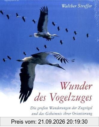 Wunder des Vogelzuges: Die großen Wanderungen der Zugvögel und das Geheimnis ihrer Orientierung