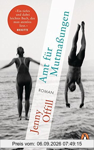 Amt für Mutmaßungen: Roman