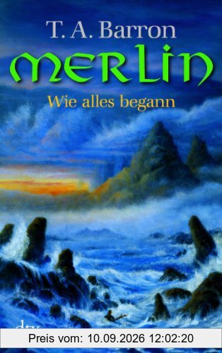 Merlin. Wie alles begann: Erstes Buch: Merin-Saga 01