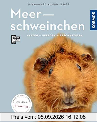Meerschweinchen: halten, pflegen, beschäftigen (Mein Tier)