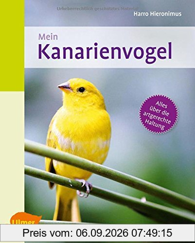 Mein Kanarienvogel zu Hause