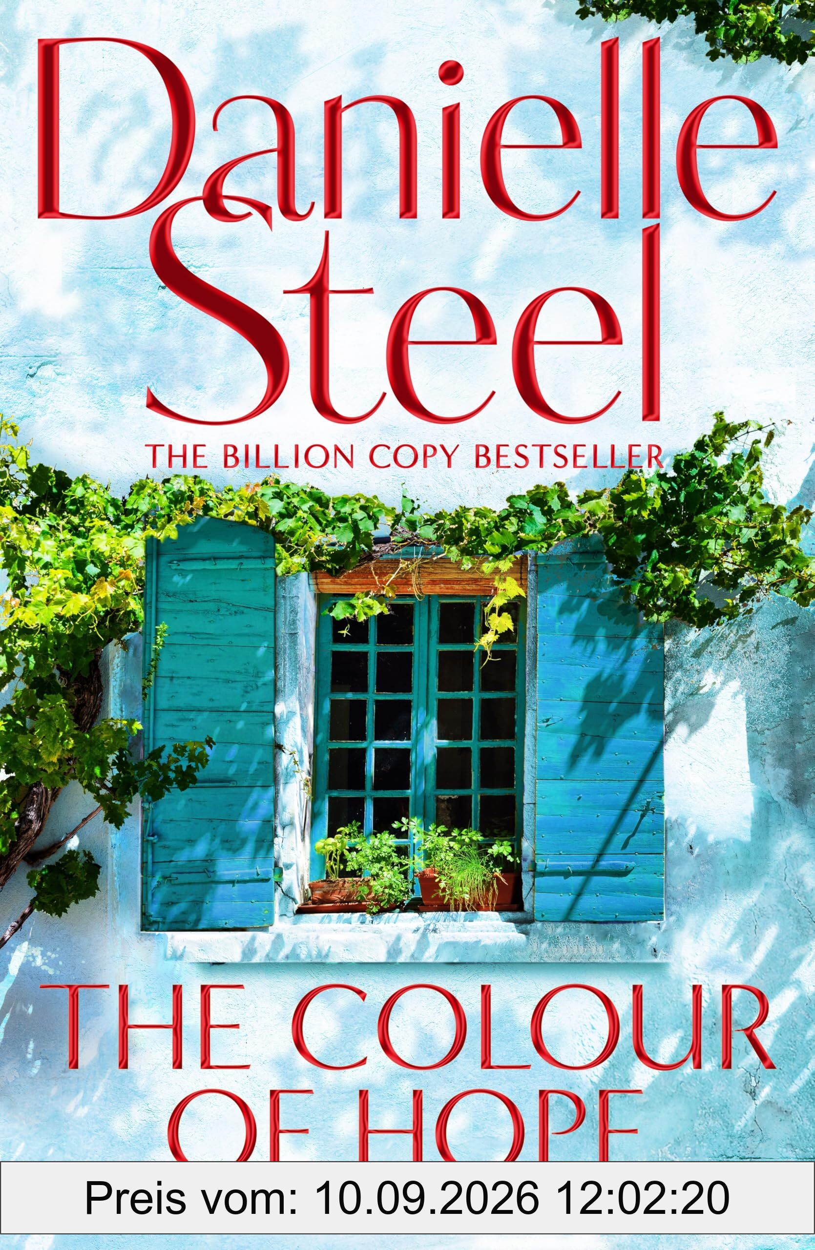 The Colour of Hope: An uplifting story about how love provides the foundation for courage and purpose