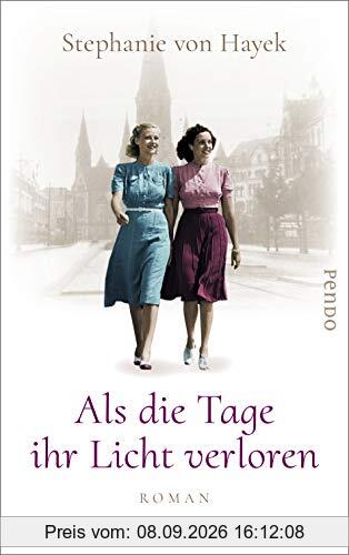 Als die Tage ihr Licht verloren: Roman