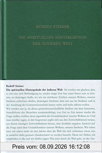 Die spirituellen Hintergründe der äußeren Welt: Der Sturz der Geister der Finsternis Geistige Wesen und ihre Wirkungen, Band 1