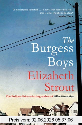 Elizabeth Strout The Burgess Boys