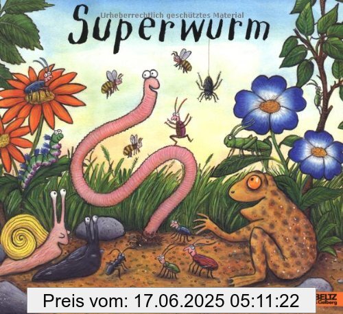 Brand : Unbekannt, Binding : Gebundene Ausgabe, Edition : Deutsche Erstausgabe, Label : Beltz & Gelberg, Publisher : Beltz & Gelberg, NumberOfItems : 1, medium : Gebundene Ausgabe, numberOfPages : 32, publicationDate : 2013-07-19, authors : Axel Scheffler, Julia Donaldson, translators : Salah Naoura, languages : german, ISBN : 340779472X