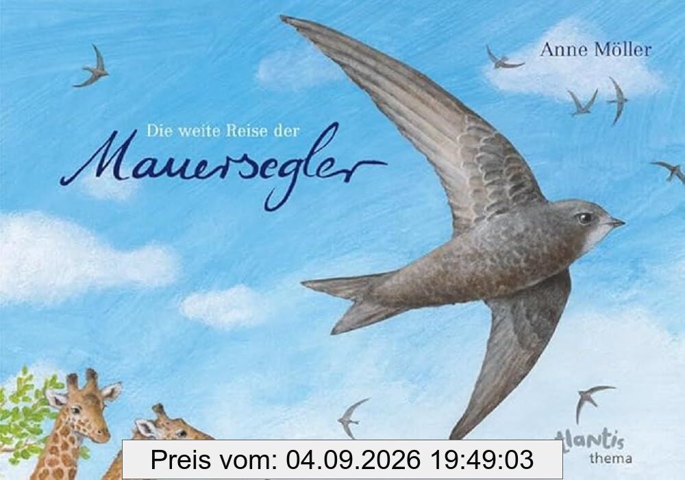 Die weite Reise der Mauersegler