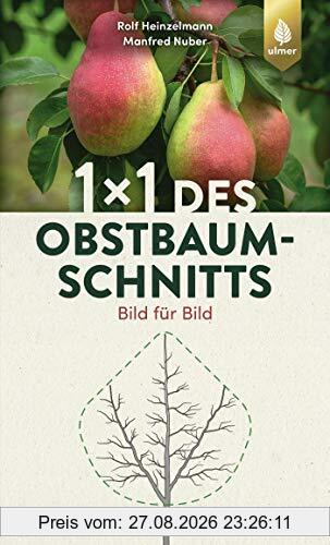 1 x 1 des Obstbaumschnitts: Bild für Bild