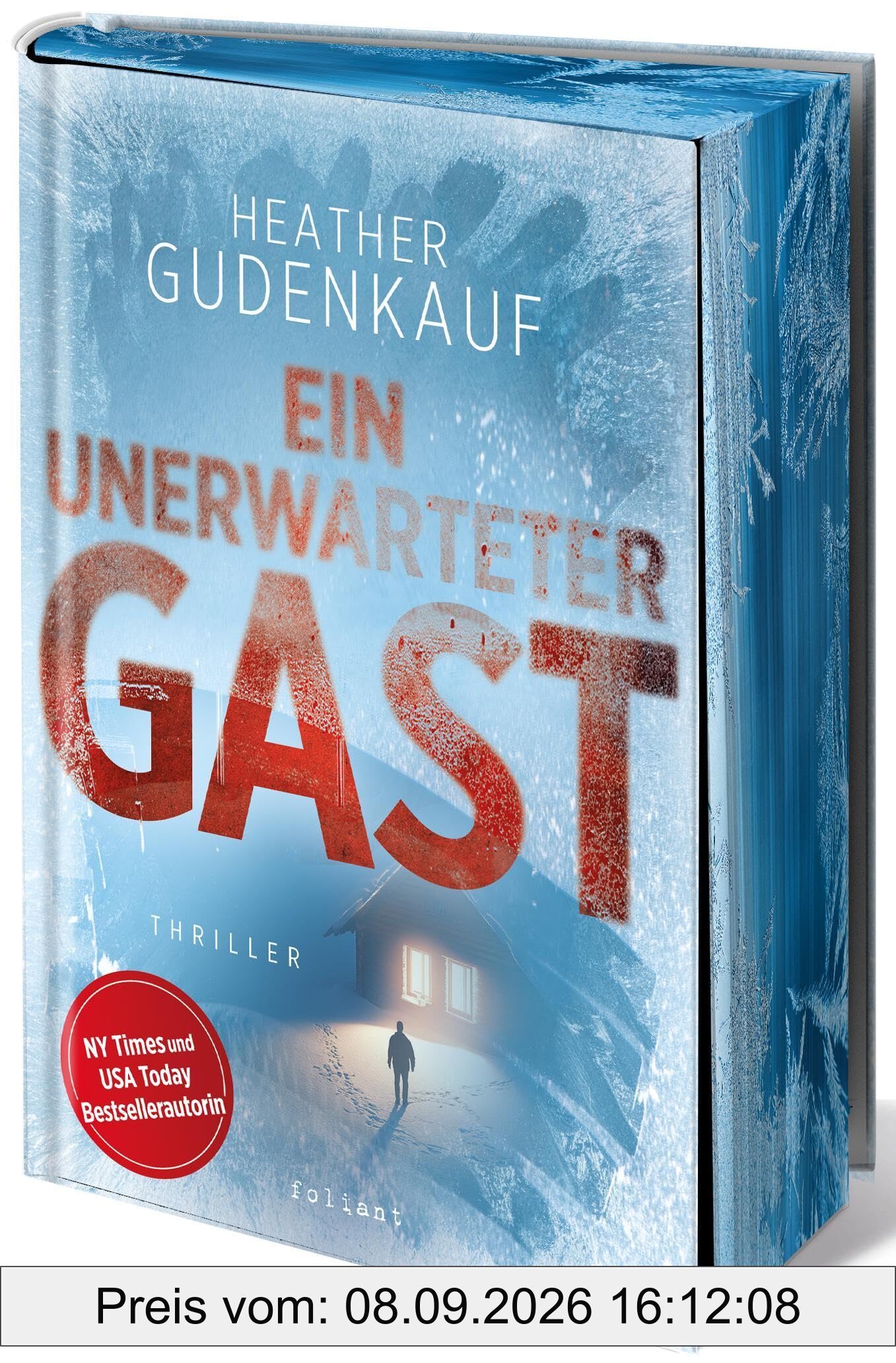Ein unerwarteter Gast: Ein Schneesturm. Ein fremdes Kind. Ein tödliches Geheimnis.