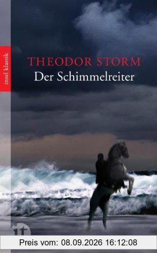 Der Schimmelreiter: Novelle (insel taschenbuch)