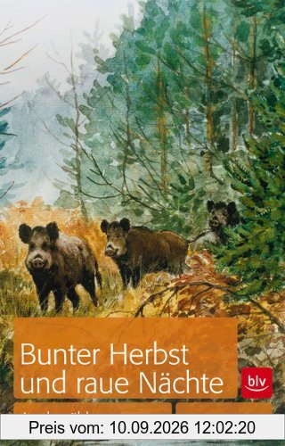 Bunter Herbst und raue Nächte: Jagderzählungen
