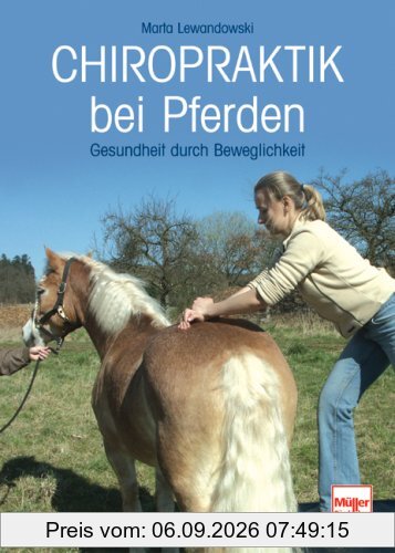 Chiropraktik bei Pferden: Gesundheit durch Beweglichkeit