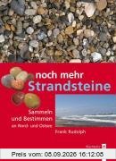Noch mehr Strandsteine: Sammeln und Bestimmen an Nord- und Ostsee
