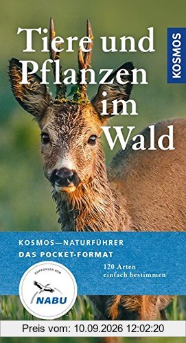 Tiere und Pflanzen im Wälder: 120 Arten einfach bestimmen (Kosmos-Naturführer Basics)