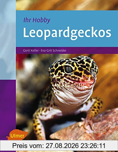 Leopardgeckos