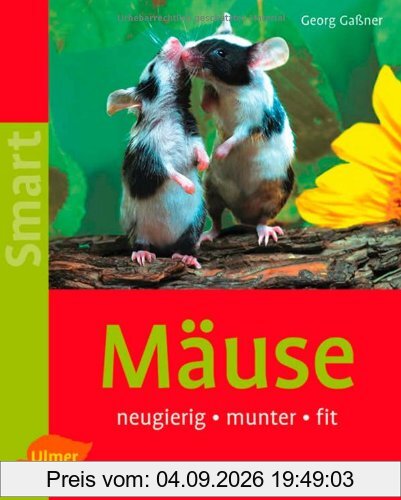 Mäuse: neugierig - munter - fit