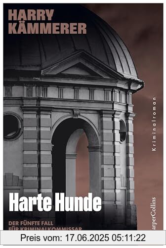 Binding : Taschenbuch, Edition : 1., Label : HarperCollins Taschenbuch, Publisher : HarperCollins Taschenbuch, medium : Taschenbuch, numberOfPages : 336, publicationDate : 2024-05-21, authors : Harry Kämmerer, ISBN : 3365008209