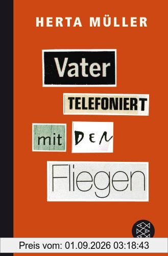Vater telefoniert mit den Fliegen
