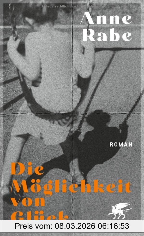 Anne Rabe Die Möglichkeit Von Glück, Roman